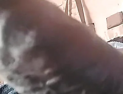 My Cock Is Very Hard and Long