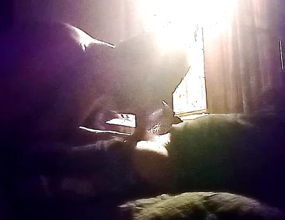 My Neighbor's Son Visits Me for Oral Sex in Secret