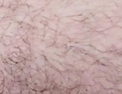 Smoking on the Fist Day 2026