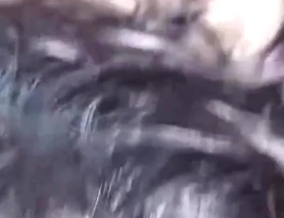 My Roommate Catches Me on Him and I Fuck His Ass Bareback, Creampie