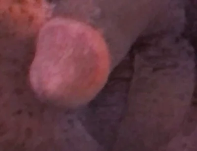 Wanna Get Fucked and Breed??