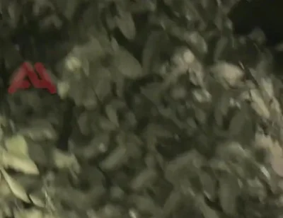 Amateur Boy Sucks a Guy He Found Jerking-off in the Street