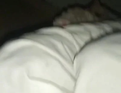 Night Time Vlog It Home and. Sex Girl Friend