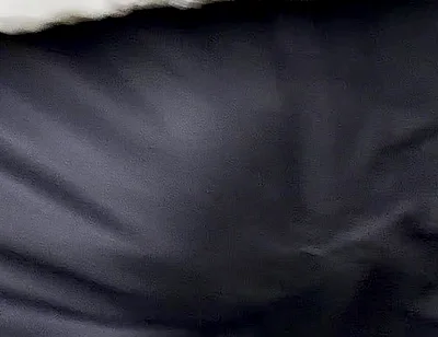 It Was One Morning Where I Needed to Wear an Underwear with a Suits Pants