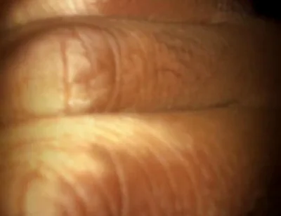 Which Angle You Like More?