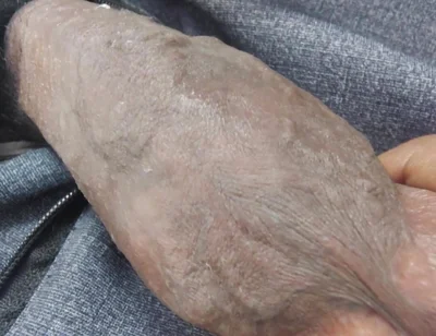 Hot and Sexy Boy Hot and Sexy Dick