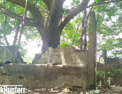 Masturbating in the Park