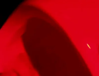 Compilation of Amateur Pissing in Different Kinds of Public Toilets