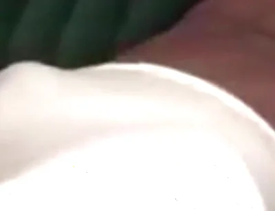 Bouncing my big black dick teasing fan request