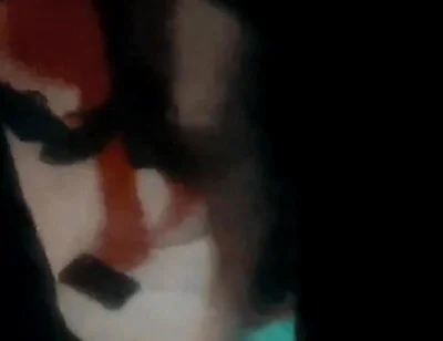 Real Amateur Gloryhole Peek