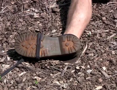 Marshall - Chapter 1