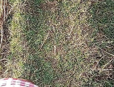 Gay Boy Outdoor Night Pussy Hole Sucking