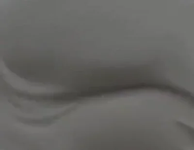 This Ass