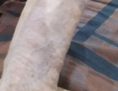 Handsome Boy Masturbation