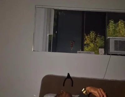 Late Night Dildo & Wank Sesh