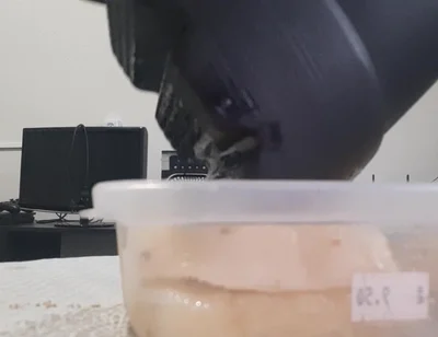 Crushing Pineapple Boots