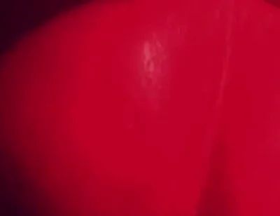 Tempted to Move to the Red Light District.