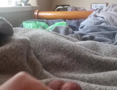Wanking Big Cock with Tight Ballring