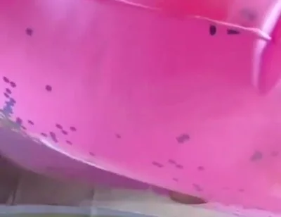 Beautiful inflatable swimrings in my bed