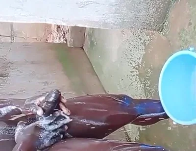 BBC Massage Orgys in Africa