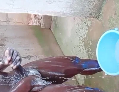 BBC Massage Orgys in Africa