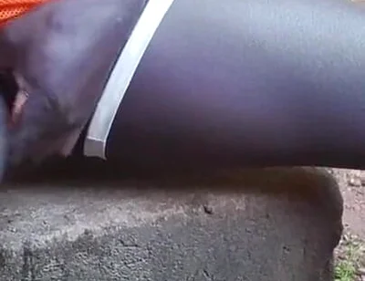 Let Me Fuck You Stepmom Please with This Black 12 Inched Cock