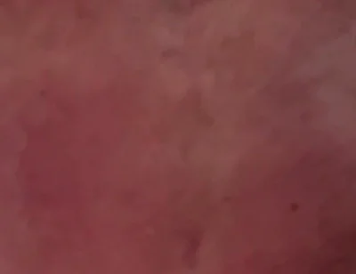 Big Daddy Loves to Breed