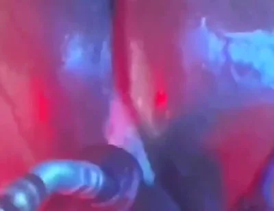 Intense Verbal Play Ahead...