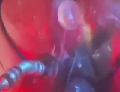 Intense Verbal Play Ahead...