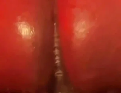 Riding Tf Out of the Phatrabbit Replica