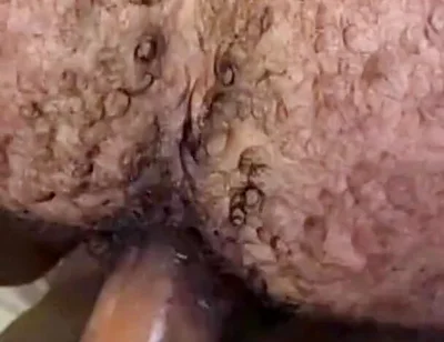 Que Rico Este Culo Peludo Y Tragón