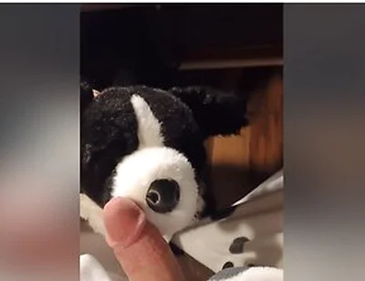 Border Collie Plushie Licks And Makes Onesie Pubby Cum!