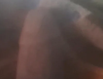Dick Lovers