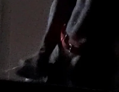 Horny Xmas Deer Started Masturbating