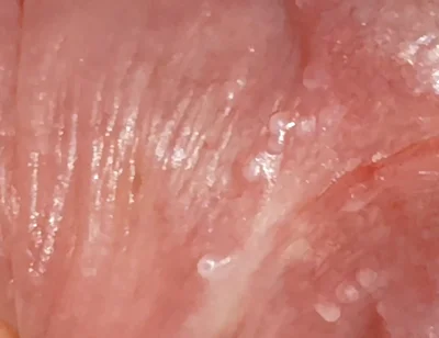 Wide Hole Filled with Pre Cum in Close up