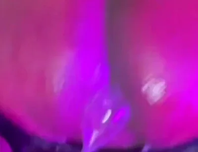 Slap Happy Fuck