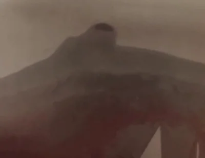 Essa Verticalargument4