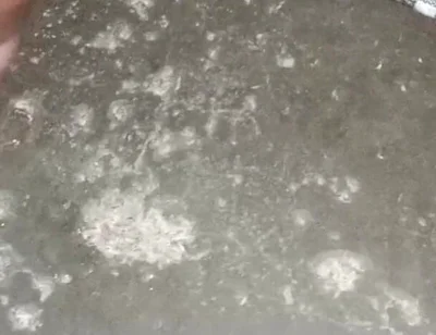 Indian Boy Black Dick Masturbate and Cum