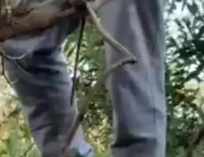 Hot Amateur Boy Sucks and Rims in the Woods