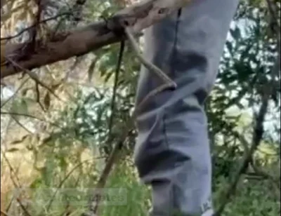 Hot Amateur Boy Sucks and Rims in the Woods