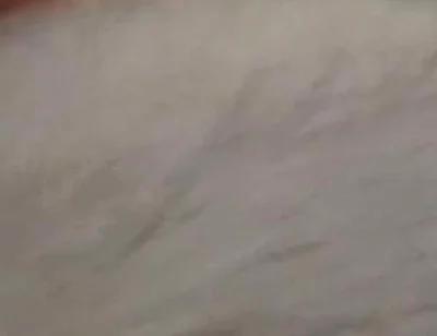 New Cum Video with Vibrating Dildo in My Ass