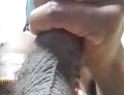 Come Let Us Mustarbate Together