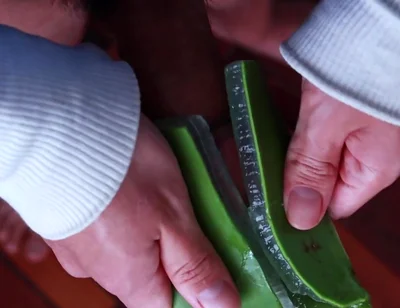 Using Aloe Vera as a Fleshlight