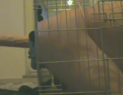 Slave in Cage Gets Anal Used