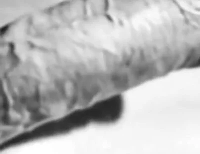 Revealing My Big White Hard Cock