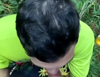 Two Males of Large Piroca Making Blows in the Forest.