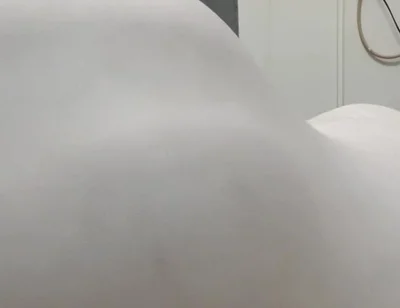 Ass Verticalargument4