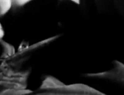 Monochrome