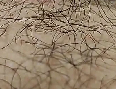 I'm Hairy Boy This My Legs and Dick