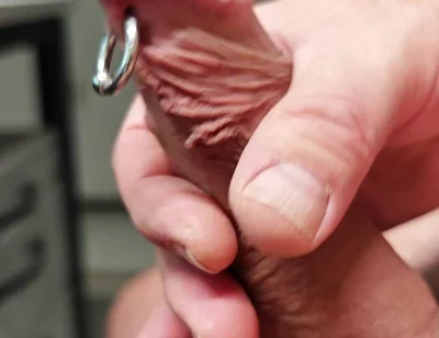 Sls-frank My Subincision Cock with Split Glans and Piercing Sack in Close-up